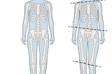 Balancing Steps: Understanding and Managing Leg Length Discrepancy