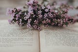 I Fell in Love Quietly In the Space Between Her Words