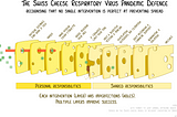 Sketch of Swiss Cheese Model of infectious disease control. Shows how different public health measures overlap to block virus transmission.