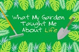 What My Garden Taught Me About Life