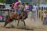 STrEaM 2021 — New Zealand National Finals Rodeo 2021 Live StReAm