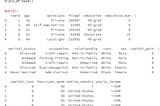 Income Level Prediction using US census data