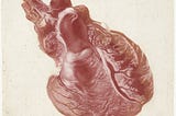 What if Consciousness Scratches?
