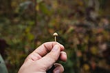 A close-up of a person’s hand holding a tiny psilocybin mushroom with a blurry, woodland background.