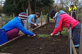 Volunteers propagate native plants to support habitat restoration around Eugene