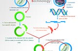 DNA technology and recombinant DNA (rDNA) technology for cloning and sequencing of genes