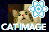 How to make a random cat image generator with React and Cat API