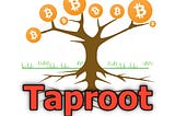BITCOIN TAPROOT UPGRADE [EVERYTHING YOU SHOULD KNOW].