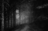 Lost in the Darkness