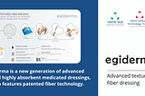 EGIDERMA: advanced textured fiber dressing