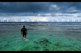 The Coral Gardener — Trailer