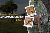 How Much Time Does Ranthambore Safari Take?