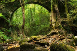 Eume River Bridge, Galicia, Spain