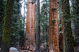 A Look at RedwoodJS