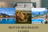 Discover Uganda’s Top 20 Safari Lodges!