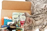 Meowbox Review: Monthly Cat Treats Delivered to Your Door