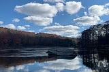 Skinner’s Falls, Delaware River