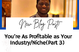 You’re as Profitable as Your Industry/ Niche(Part 3).