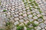 A light gray cobblestone street. Between the seams of the cobblestones, green weeds and grass have sprouted, forming a path from the center top of the photograph to the bottom left-hand corner, where the weeds are flourshing.