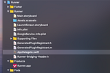 How to fix iOS crash during the start Firebase configure?