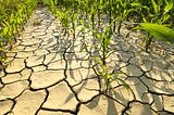Drought Prediction and Crop recommendation