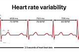 Unveiling the Truth Behind Heart Rate Variability (HRV): Is It Really Meaningful?