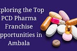 Exploring the Top PCD Pharma Franchise Opportunities in Ambala