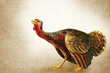 I Thought Turkeys Could Fly.