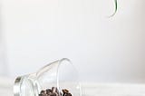 What are the findings of the research on Coffee beans?