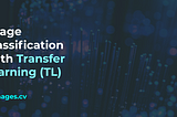 Image Classification With Transfer Learning (TL)