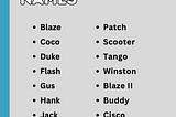 150+ New Abaco Barb Hourses Names