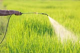 Nanopesticides Market Will Grow At Highest Pace Owing To Increasing Demand For Organic Food…