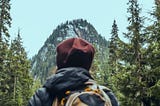 Hiker looking at pine trees and a mountain