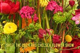 Shot! The 2024 RHS Chelsea Flower Show