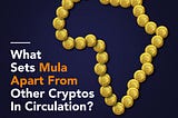 WHAT SETS MULA APART FROM OTHER CRYPTOS IN CIRCULATION?
