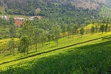 A Quiet Sojourn in Coonoor