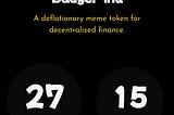 BADGER INU PRESALE

Token Information