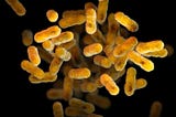 Pertussis: the other vaccine-preventable respiratory disease that we can’t get rid of.