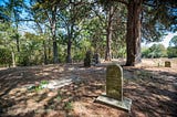 A cemetery with old gravestones and a pine tree.