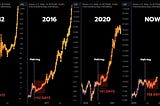 How high can Bitcoin get this bull run?