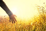 Mastering Anxiety: Strategies for a Calmer Mind
