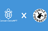 ConservatioNFT x Turtle Foundation