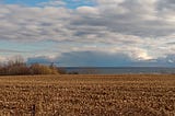 A view of Lake Ontario across a field of harvested crops.