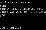 Arch Adventures: Installing AWS SSM