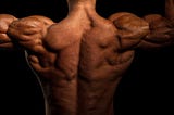 Sculpted shoulders — the best exercise for the rear delts