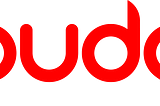 PUDO: a New Generation Smart Delivery Service Company