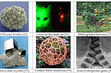 On the Origin of Synthetic Life