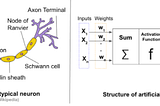 Introduction to Perceptron