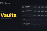Orca is Becoming a Platform for Every Capital Allocator on Solana