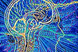 The Scrambled Brain of the Narcissist